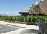 Vincent Winery Gallery Image 3